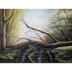 Óleo sobre tela  Floresta mística 60x50